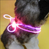 1 Pcs Multi-color LED Pet Collar Adjustable Night Safety Pet Collar Luminous Light Up - Sabuycar