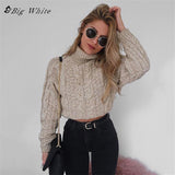 Women Autumn Winter Sweater Women Short Paragraph Long-Sleeved - Sabuycar