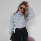 Women Autumn Winter Sweater Women Short Paragraph Long-Sleeved - Sabuycar